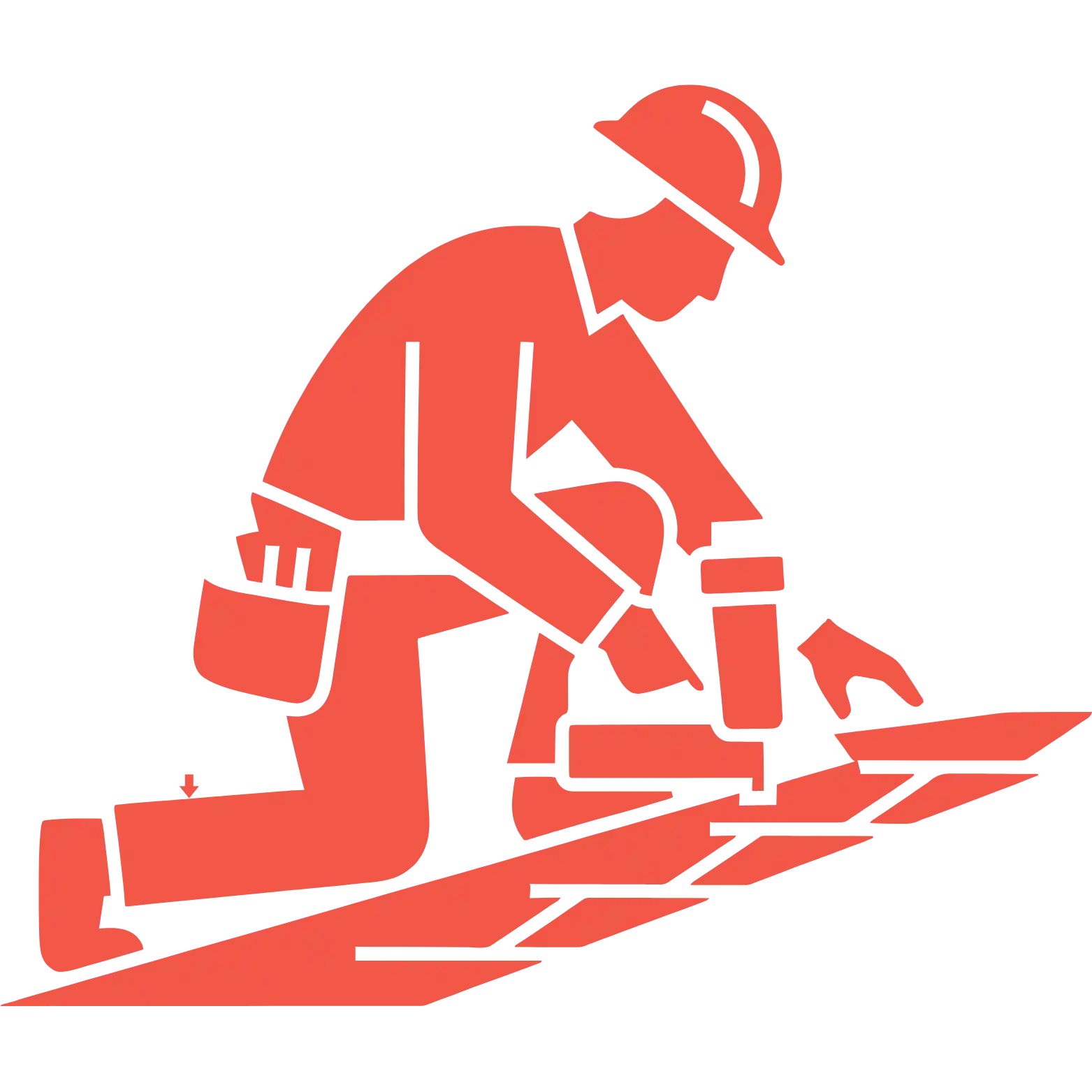 Professional
